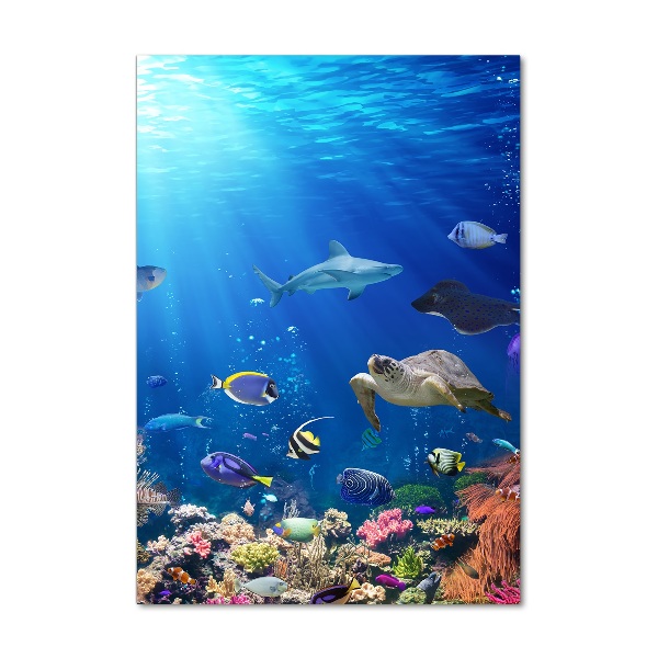 Cuadro decorativo en cristal con canto pulido vertical Arrecife de coral