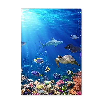 Cuadro decorativo en cristal con canto pulido vertical Arrecife de coral