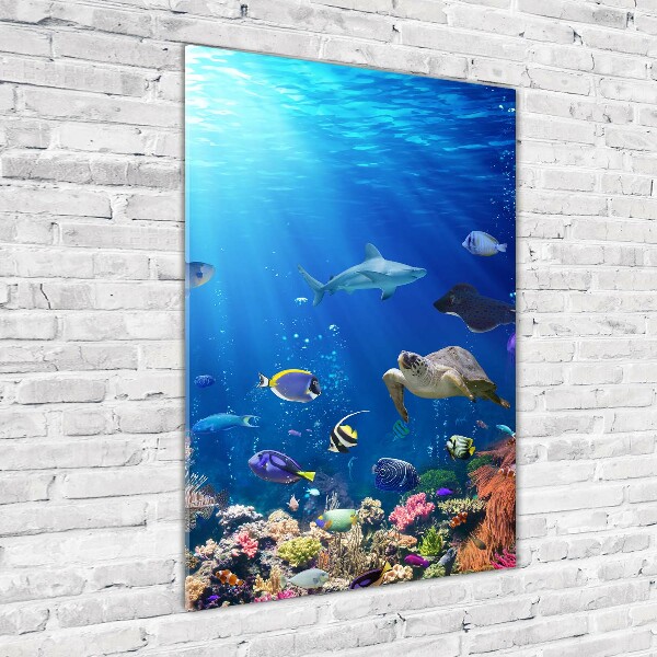 Cuadro decorativo en cristal con canto pulido vertical Arrecife de coral