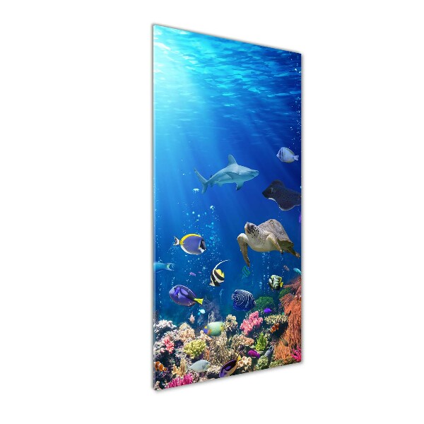 Cuadro decorativo en cristal con canto pulido vertical Arrecife de coral