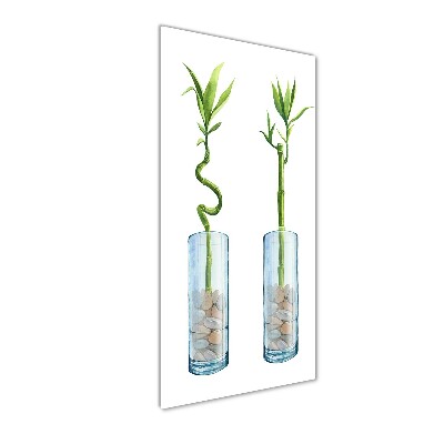 Fotocuadro de cristal elegante para hogar vertical Bambú en una maceta