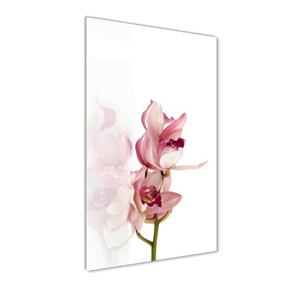 Cuadro de vidrio templado 4mm para pared vertical Orquídea rosa