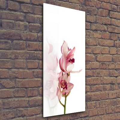 Cuadro de vidrio templado 4mm para pared vertical Orquídea rosa