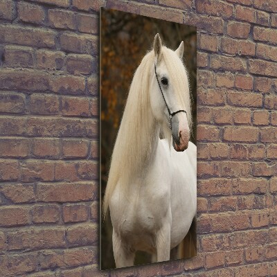 Cuadro decorativo en cristal con canto pulido vertical Caballo blanco
