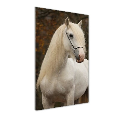 Cuadro decorativo en cristal con canto pulido vertical Caballo blanco