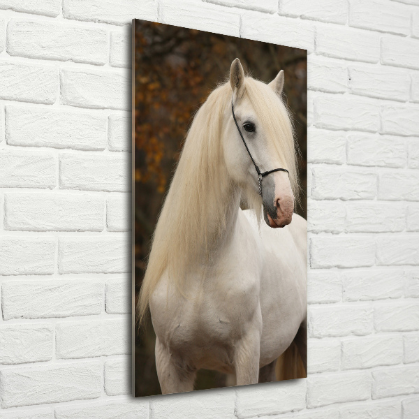 Cuadro decorativo en cristal con canto pulido vertical Caballo blanco