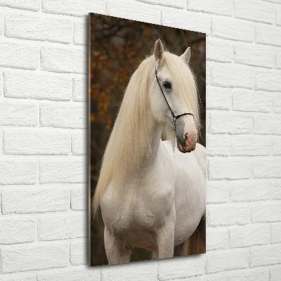 Cuadro decorativo en cristal con canto pulido vertical Caballo blanco