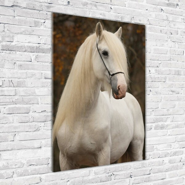 Cuadro decorativo en cristal con canto pulido vertical Caballo blanco