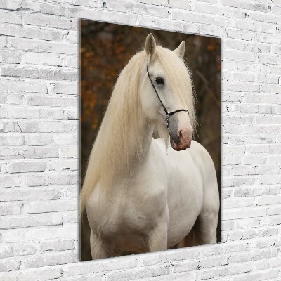 Cuadro decorativo en cristal con canto pulido vertical Caballo blanco