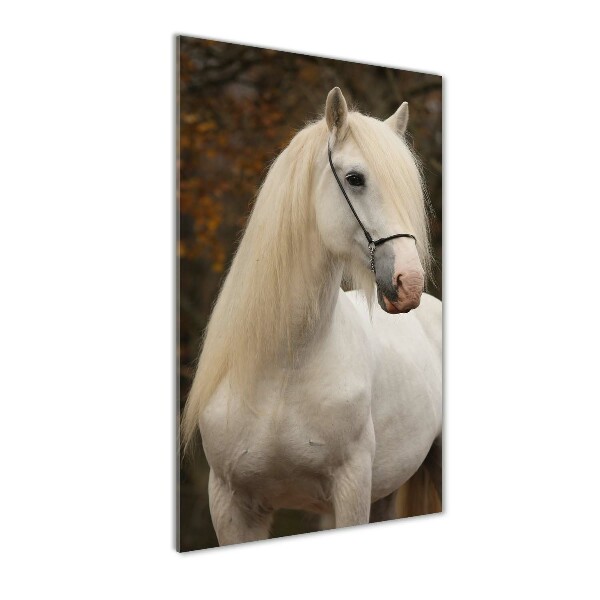Cuadro decorativo en cristal con canto pulido vertical Caballo blanco