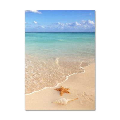 Cuadro de vidrio templado 4mm para pared vertical Estrellas de mar en la playa