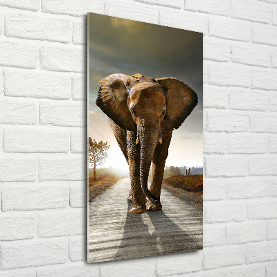 Fotocuadro de cristal elegante para hogar vertical Elefante caminando