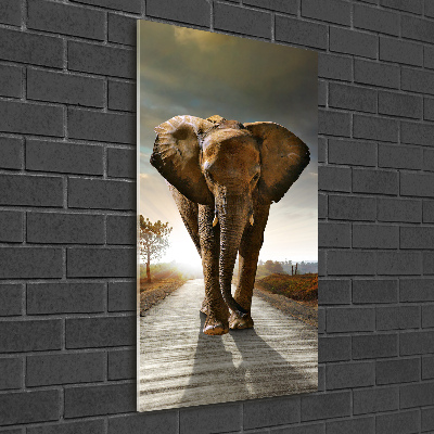 Fotocuadro de cristal elegante para hogar vertical Elefante caminando