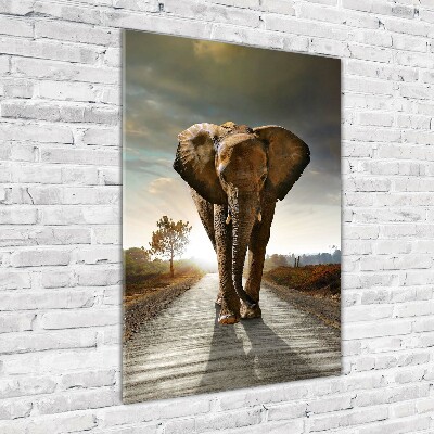Fotocuadro de cristal elegante para hogar vertical Elefante caminando