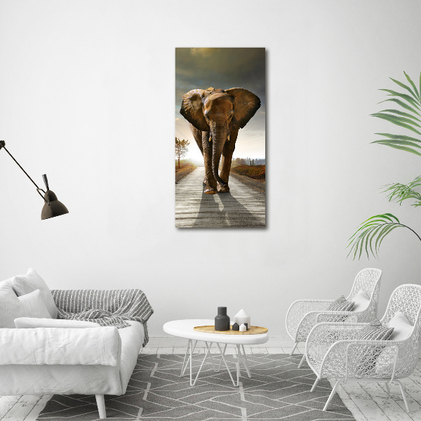 Fotocuadro de cristal elegante para hogar vertical Elefante caminando