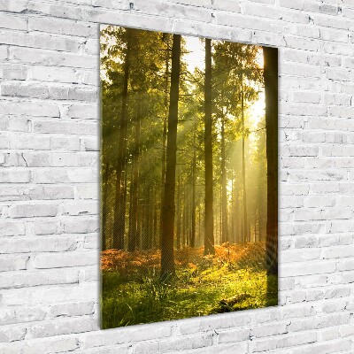 Cuadro de cristal moderno efecto brillo vertical Hermoso bosque