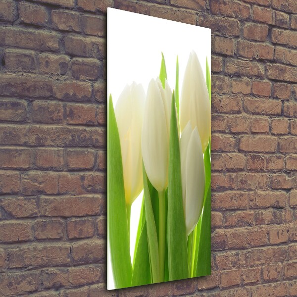 Fotocuadro de cristal elegante para hogar vertical tulipanes blancos