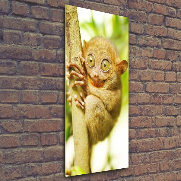 Cuadro de cristal moderno efecto brillo vertical Tarsero fantasma