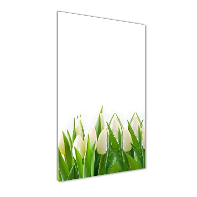 Cuadro de cristal moderno efecto brillo vertical tulipanes blancos