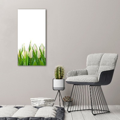 Cuadro de cristal moderno efecto brillo vertical tulipanes blancos