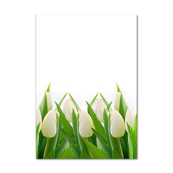 Cuadro de cristal moderno efecto brillo vertical tulipanes blancos