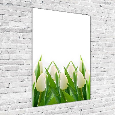 Cuadro de cristal moderno efecto brillo vertical tulipanes blancos