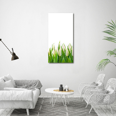 Cuadro de cristal moderno efecto brillo vertical tulipanes blancos