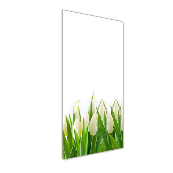 Cuadro de cristal moderno efecto brillo vertical tulipanes blancos