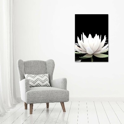 Foto obraz szkło hartowane pionowy Kwiat lotosu