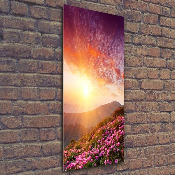 Cuadro de vidrio templado 4mm para pared vertical Primavera en las montañas