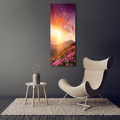 Cuadro de vidrio templado 4mm para pared vertical Primavera en las montañas