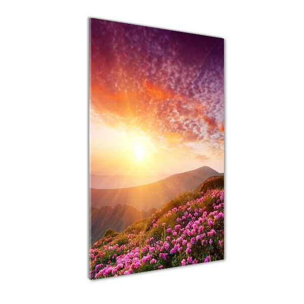 Cuadro de vidrio templado 4mm para pared vertical Primavera en las montañas