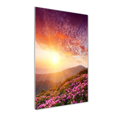 Cuadro de vidrio templado 4mm para pared vertical Primavera en las montañas