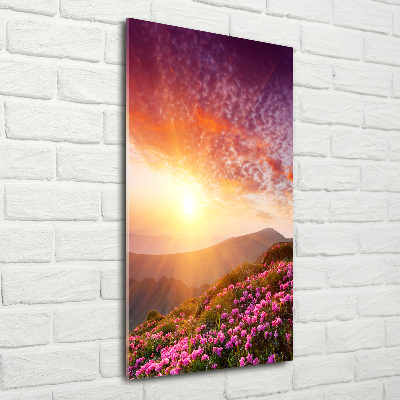 Cuadro de vidrio templado 4mm para pared vertical Primavera en las montañas
