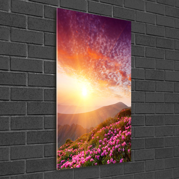 Cuadro de vidrio templado 4mm para pared vertical Primavera en las montañas