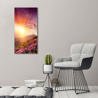 Cuadro de vidrio templado 4mm para pared vertical Primavera en las montañas