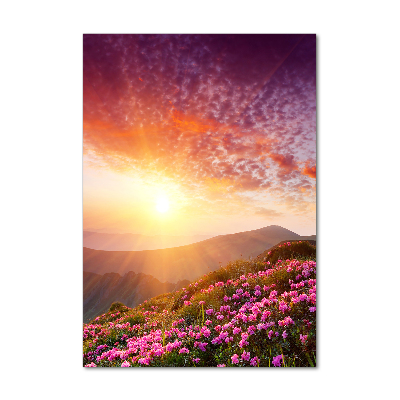 Cuadro de vidrio templado 4mm para pared vertical Primavera en las montañas