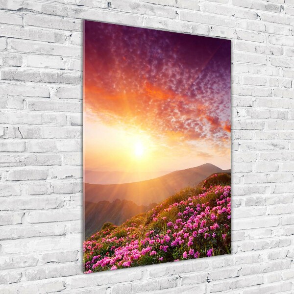 Cuadro de vidrio templado 4mm para pared vertical Primavera en las montañas