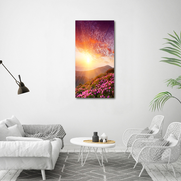 Cuadro de vidrio templado 4mm para pared vertical Primavera en las montañas