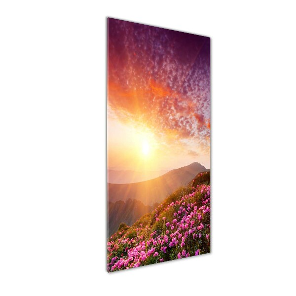 Cuadro de vidrio templado 4mm para pared vertical Primavera en las montañas
