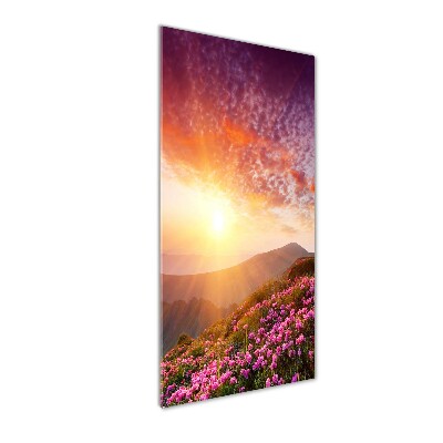 Cuadro de vidrio templado 4mm para pared vertical Primavera en las montañas