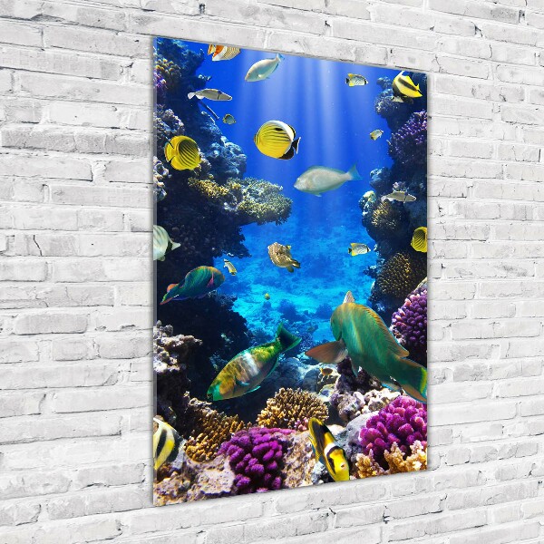 Fotocuadro de cristal elegante para hogar vertical Arrecife de coral