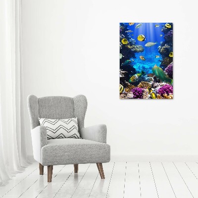 Fotocuadro de cristal elegante para hogar vertical Arrecife de coral