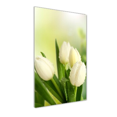 Cuadro de cristal moderno efecto brillo vertical tulipanes blancos