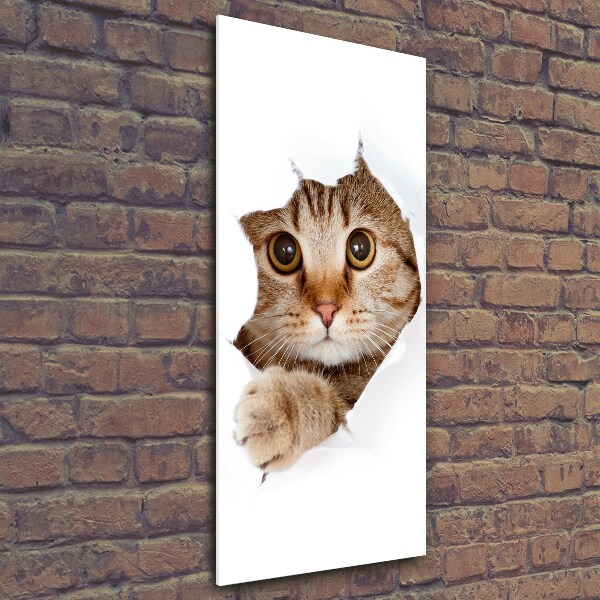 Cuadro decorativo en cristal con canto pulido vertical Gato
