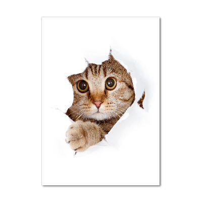 Cuadro decorativo en cristal con canto pulido vertical Gato