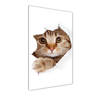 Cuadro decorativo en cristal con canto pulido vertical Gato