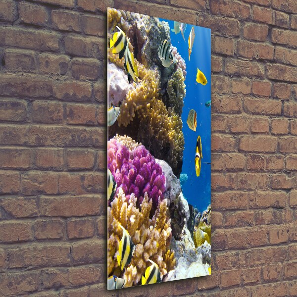 Cuadro de vidrio templado 4mm para pared vertical Arrecife de coral