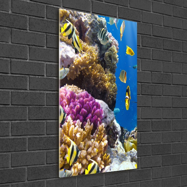 Cuadro de vidrio templado 4mm para pared vertical Arrecife de coral