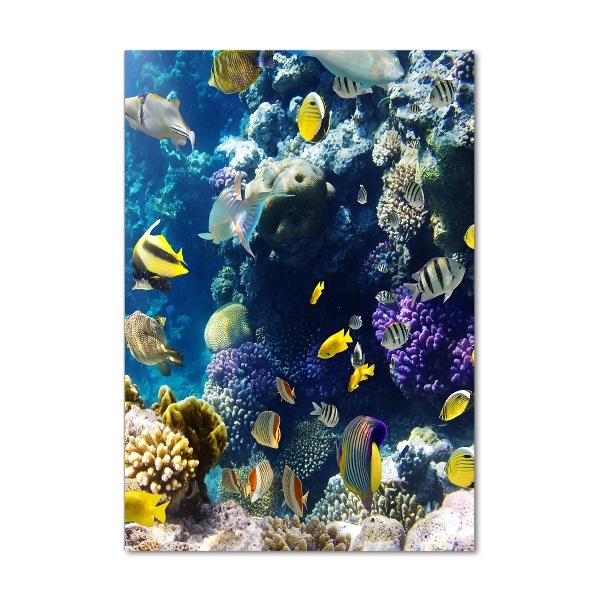 Cuadro de vidrio templado 4mm para pared vertical Arrecife de coral